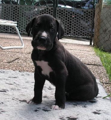 Kingsley Vom White Temple