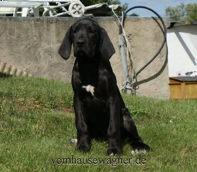 Epi Vom Hause Wagner