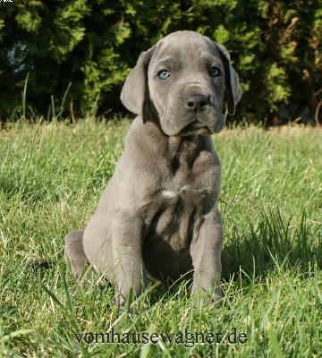 Filia Vom Hause Wagner