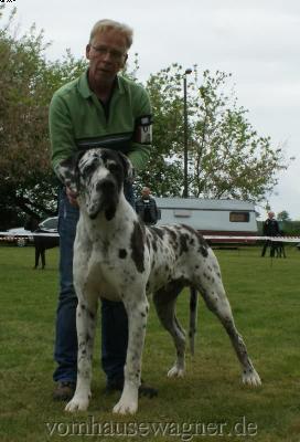 Ch Baltasar Vom Harbker Schlo