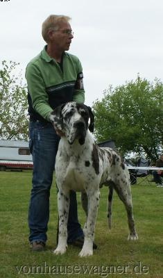 Ch Baltasar Vom Harbker Schlo