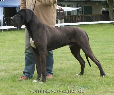 Berry Vom Harbker Schlo�