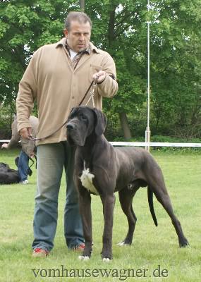 Berry Vom Harbker Schlo�