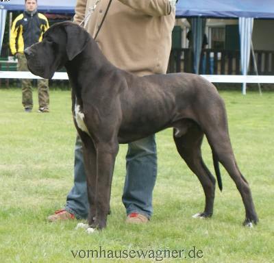 Berry Vom Harbker Schlo�