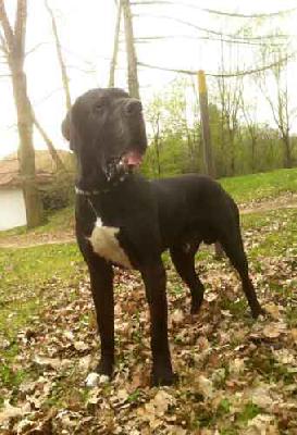 Berry Vom Harbker Schlo�