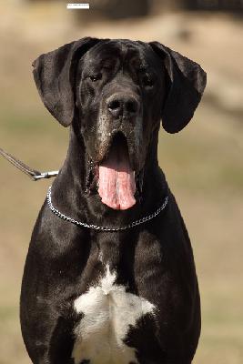 Becky Vom Harbker Schlo�