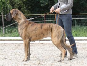 Zeudi Della Baia Azzurra