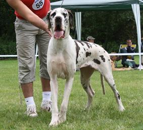 Baronesse Vom Hause Altmann