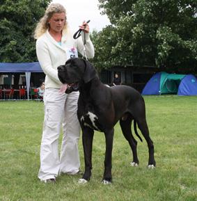 Charming Devil Of Austria Great Stars