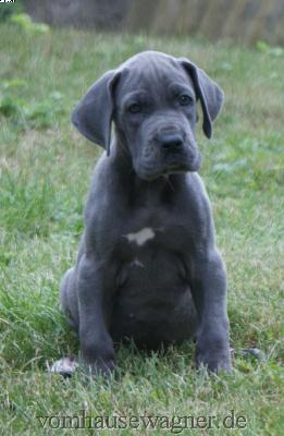 Henna Vom Hause Wagner