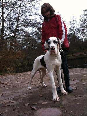 Tamanda Von Schlesien