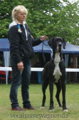 Ch Pillepalle Vom Hollenstein