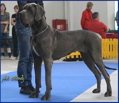 Valkiria Della Baia Azzurra