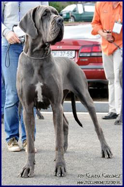 Valkiria Della Baia Azzurra