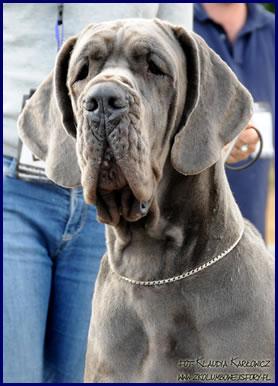 Valkiria Della Baia Azzurra