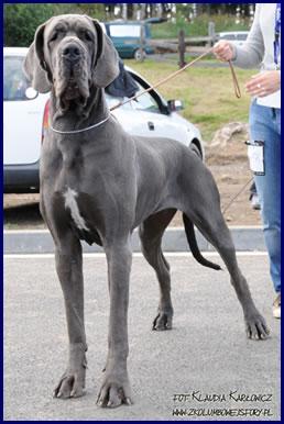 Valkiria Della Baia Azzurra