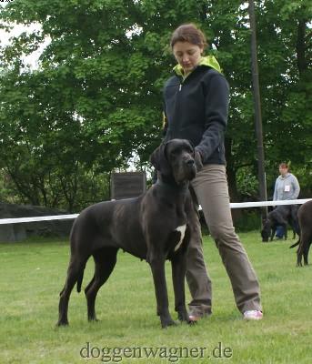 Djerka De La Grisonniere