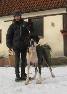 Bella Vom Hause Altmann