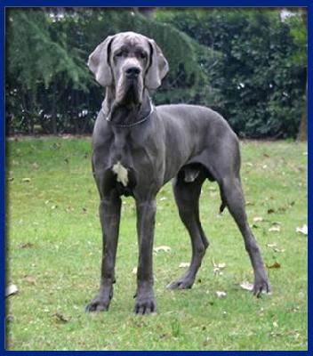 U Gucci Della Baia Azzurra