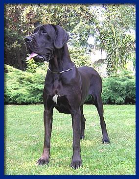 Rumba-n Della Baia Azzurra