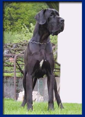 Rumba-n Della Baia Azzurra