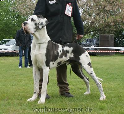 Bax Vom Herstallturm