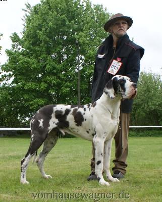 Bax Vom Herstallturm