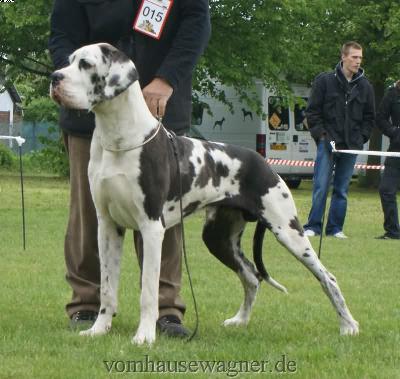 Bax Vom Herstallturm
