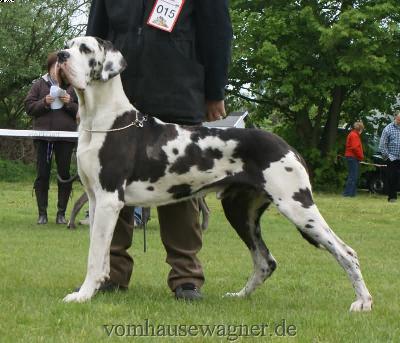 Bax Vom Herstallturm