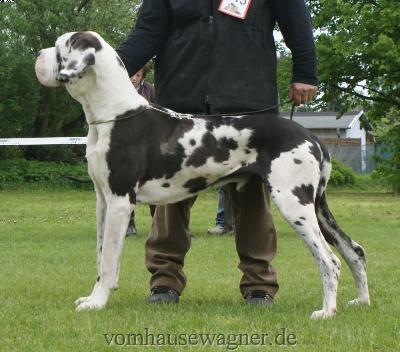 Bax Vom Herstallturm