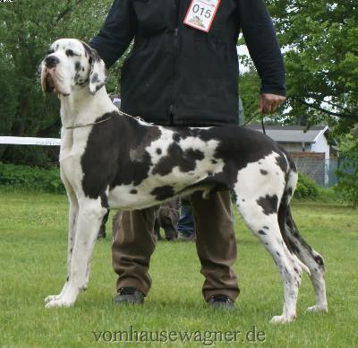 Bax Vom Herstallturm