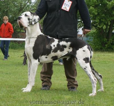 Bax Vom Herstallturm