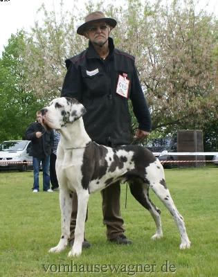 Bax Vom Herstallturm
