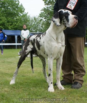 Bax Vom Herstallturm