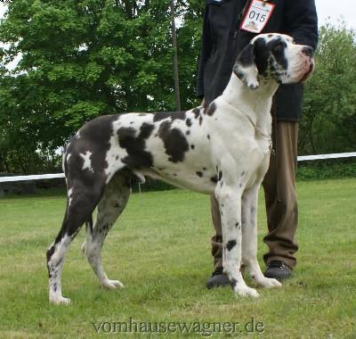 Bax Vom Herstallturm