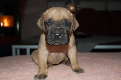 Jackpot Vom Teuchelwald