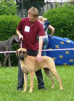 Montana Vom Sprendlinger Tal