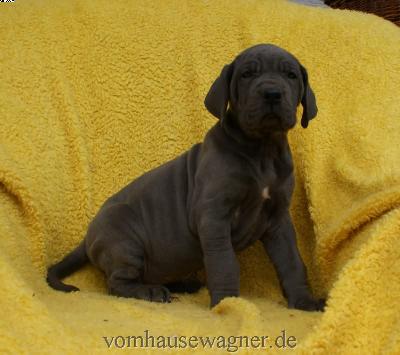 Imperator Vom Hause Wagner