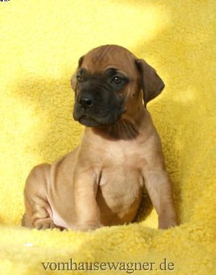 Johanna Vom Hause Wagner