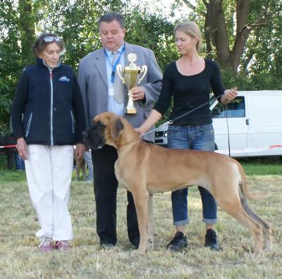 Daisy Des Terres De La Rairie