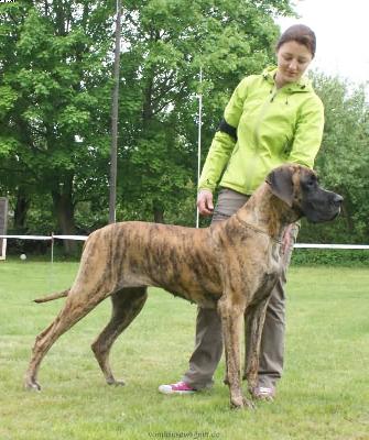 Tosca By Dejan & Ines