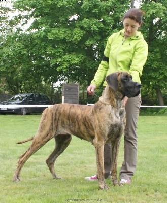 Tosca By Dejan & Ines