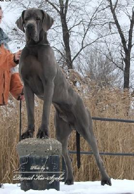 Usher Von Gigantic Blau