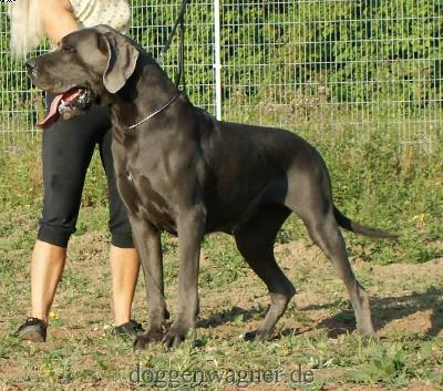 Gera Vt Oenselerheem