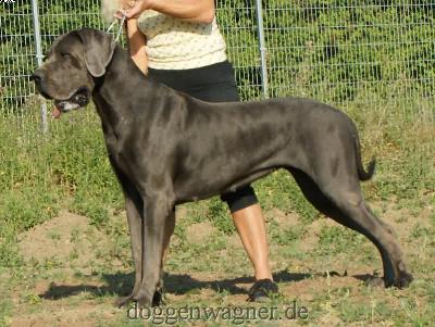 Gigi V�t Oenselerheem