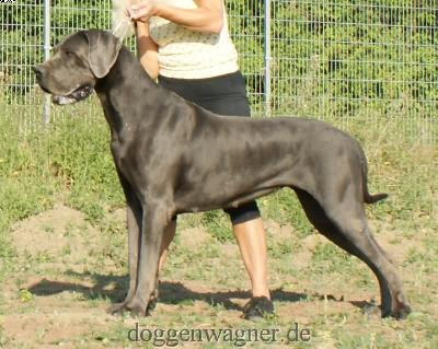 Gigi Vt Oenselerheem