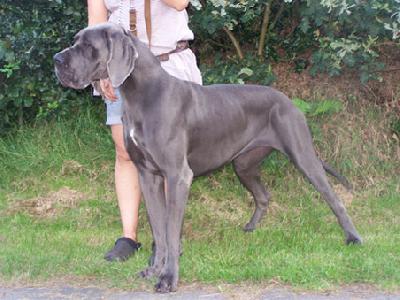 Bloody Marry Von Blue Ground