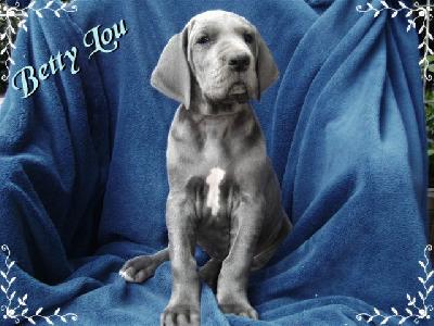 Betty-lou Von Blue Ground