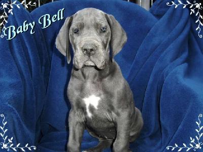 Baby-bell Von Blue Ground