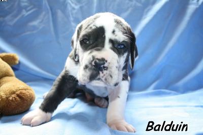 Balduin Vom Haus Heinbach